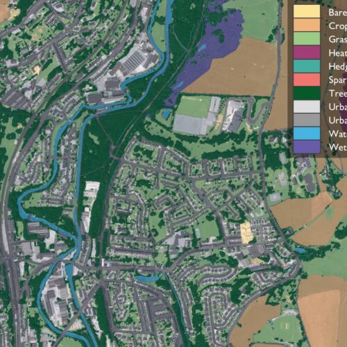 OS introduces BNG mapping