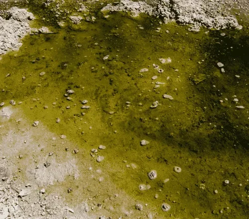 ‘PFAS OUT’ Initiative Aims to Tackle Drinking Water Contamination Early
