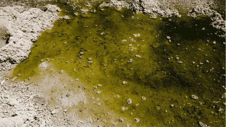 ‘PFAS OUT’ Initiative Aims to Tackle Drinking Water Contamination Early