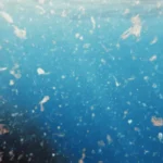 Crackdown on Microplastics in Drinking Water