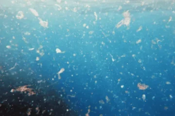 Crackdown on Microplastics in Drinking Water