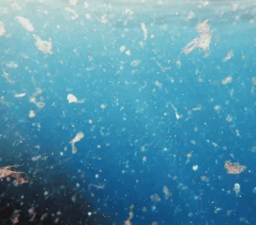 Crackdown on Microplastics in Drinking Water