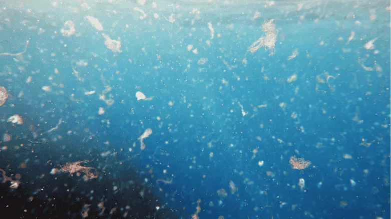Crackdown on Microplastics in Drinking Water