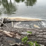 Is $39 million enough to clean up PFAS contamination in Pennsylvania? The EPA thinks so.