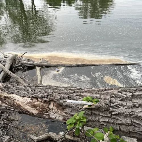 Is $39 million enough to clean up PFAS contamination in Pennsylvania? The EPA thinks so.
