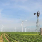 Florida-based Next Era Energy wants in on wind