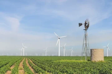 Florida-based Next Era Energy wants in on wind