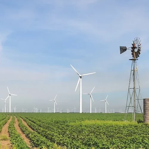 Florida-based Next Era Energy wants in on wind