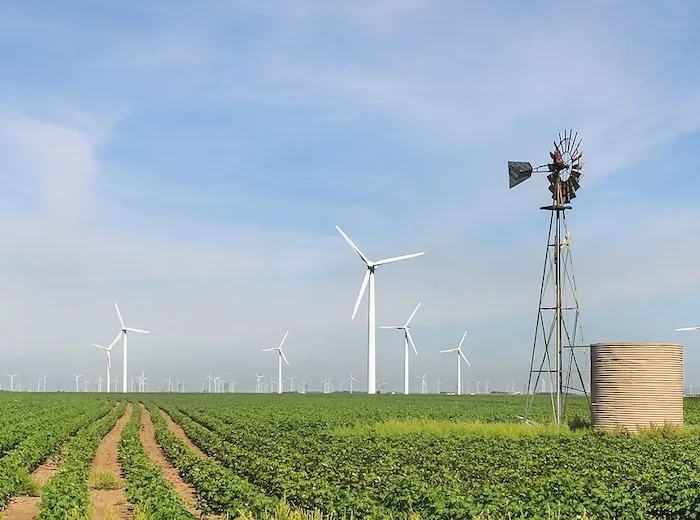 Florida-based Next Era Energy wants in on wind