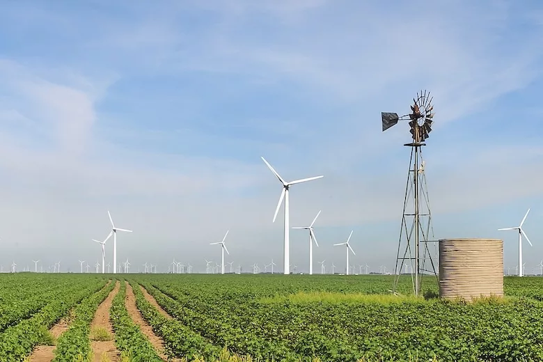 Florida-based Next Era Energy wants in on wind